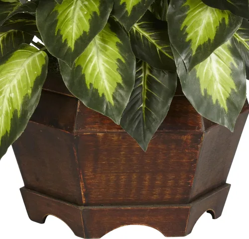 Vista 6 de Nearly Natural 6639 - Planta de Seda Dieffenbachia Dorada de 24 Pulgadas, Verde