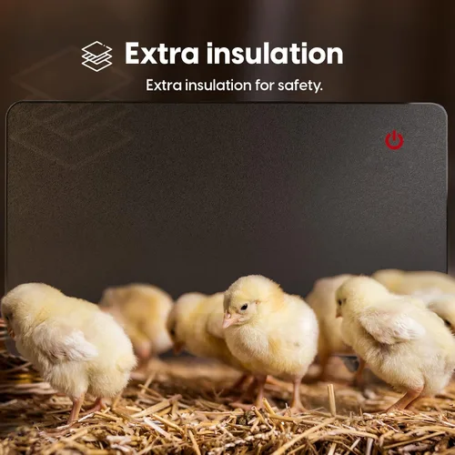 Vista 5 de Econohome Calentador de gallinero seguro, más seguro que las lámparas de criador, suavemente cálido, 150 vatios, cumple con ETL para seguridad