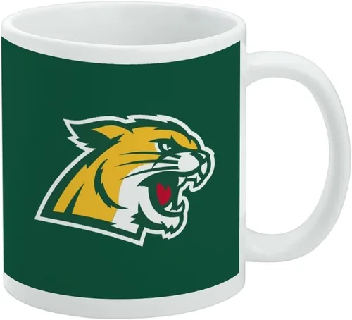 Vista 46 de Taza de cerámica con el logotipo principal de la Universidad Rider, taza de regalo novedosa para café, té y bebidas calientes, 11oz, blanca