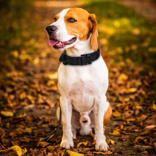 Vista 4 de Collar táctico para perro, collar de entrenamiento militar ajustable de nailon para perro con mango de control y hebilla de metal pesado de Marrón