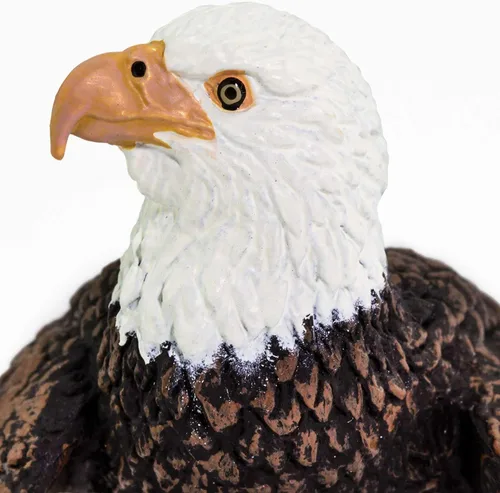 Vista 7 de Safari Ltd. Figura de águila calva - Figura de ave realista de 6 cm - Juguete educativo para niños, niñas y niños de 3 años en adelante