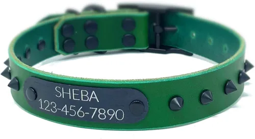 Vista 18 de Personalized Spiked Bridle Leather Dog Collar, Engraved Matte Black Metal Nameplate (Mustard Yellow)