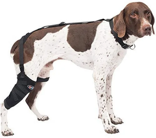 Vista 9 de Caldera Pet Therapy Universal Wrap Carpal/Codo con Gel, Mediano, Negro (PET205)