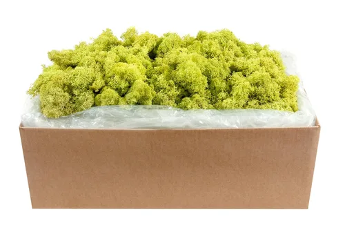 Vista 12 de SuperMoss 21786 Musgo de Reno Preservado Negro, Aprox. 3 lb Estuche a Granel