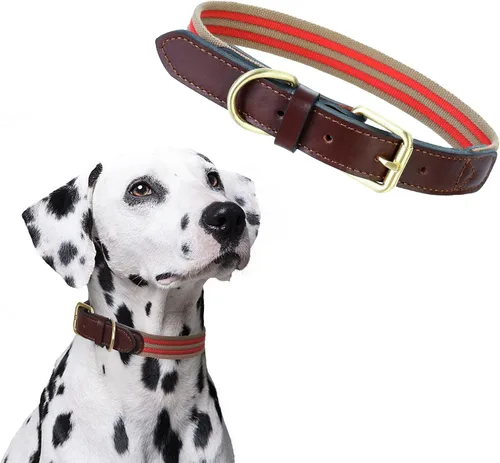 Vista 11 de Mile High Life Collar ajustable de polialgodón suave y fuerte con hebilla de liberación rápida para perros pequeños a grandes