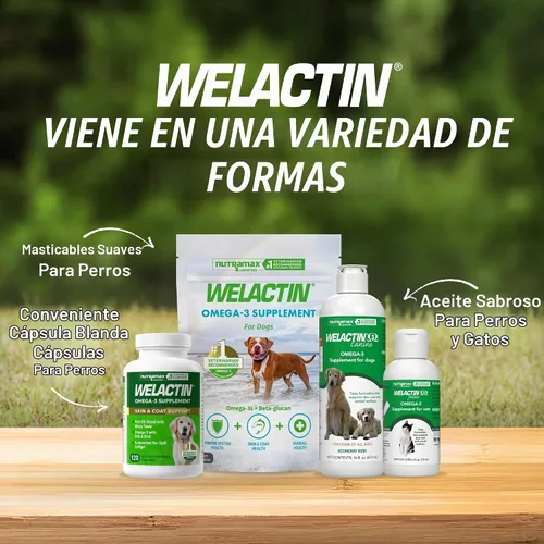 Vista 6 de Nutramax Welactin Canine Softgel Cápsulas