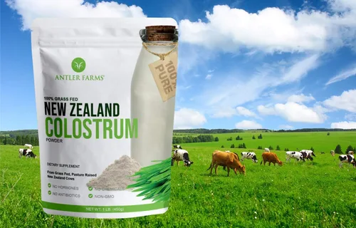 Vista 4 de Antler Farms Calostro 100% puro de Nueva Zelanda, 30 porciones, 1 libra - Alimentado con pasto, criado en pasto, de origen limpio, procesado