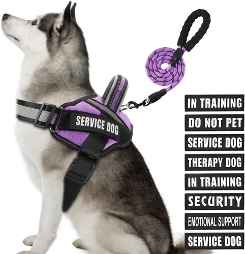 Vista 47 de Juego de Chaleco y Correa para Perro de Servicio, Arnés de Entrenamiento Animire para Perro con 10 Parches para Perros, Correa Reflectante