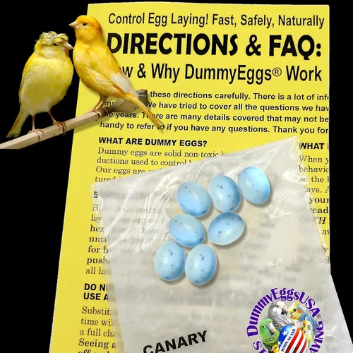 Vista 2 de para Canary. Reemplaza los huevos colocados con plástico, engaña a tu pájaro cada vez! 3/4 pulgadas x 5/8 pulgadas (0.728 x 0.591 in) 7