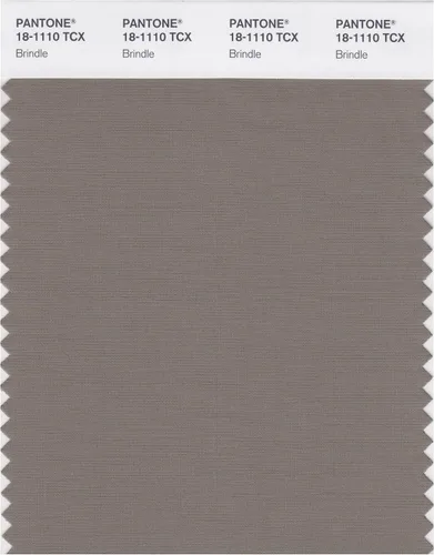 Vista 13 de PANTONE Tarjeta de muestra de color inteligente 18-1314X, bellota