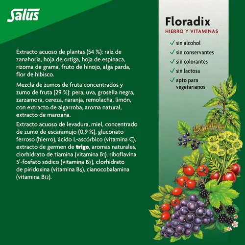 Vista 5 de Floradix hierro + hierbas extracto líquido fórmula 17 onzas