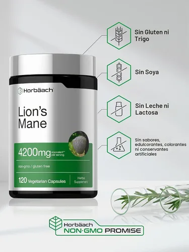 Vista 5 de Horbäach extracto de hongo melena de león 4200mg 120 cápsulas suplemento vegetariano, no transgénico, sin gluten