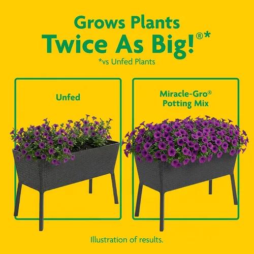 Vista 5 de Miracle-Gro - Mezcla para macetas de 2 pies cúbicos y paquete de 24 picos de alimentos para plantas de interior Garden Soil, Continuous Feeding
