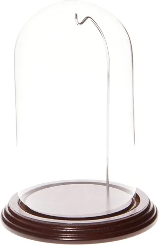 Vista 10 de Plymor Cúpula de exhibición de cristal de reloj/adorno de 4 "x 7