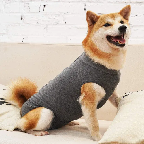 Vista 2 de LIANZIMAU Traje de recuperación quirúrgica para perros con un solo pieza transpirable para heridas abdominales y protección de la piel, alternativa