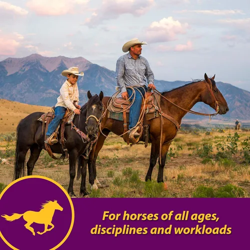 Vista 7 de Farnam Horse Health - Gránulos de glóbulos rojos, suplemento de vitaminas y hierro y minerales para caballos, ayuda a llenar importantes lagunas