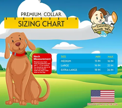 Vista 2 de Country Brook Petz HossFit Jr - Collar ancho de alta calidad para perro, colección Americana con diseños patrióticos (celebración americana, mediano)