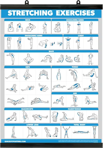 Vista 5 de Palace Learning QUICKFIT - Póster de ejercicios de estiramiento, rutina de estiramiento (laminado, 18 x 24 pulgadas)
