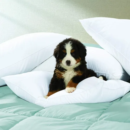 Vista 2 de Cuddledown Dreamstead 700 Fill Power - Almohada de plumón de ganso blanco europeo, carcasa 100 % algodón, tejido satinado, hipoalergénica, hecha a