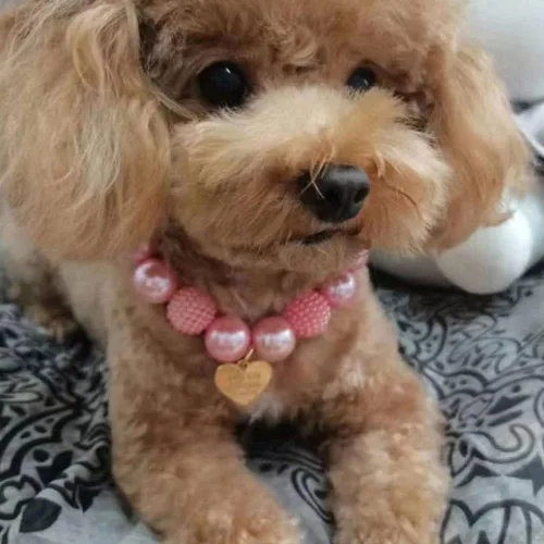 Vista 2 de Lindo collar de perlas de peluche con colgante de corazón rosa, accesorios de ropa para perros, collares de perro pequeños y medianos