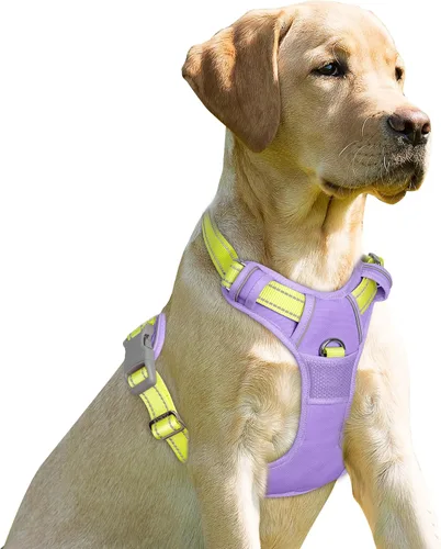 Vista 41 de BARKBAY - Arnés para perro sin tirones con clip frontal, material resistente y reflectante, asa de fácil control para pasear perros grandes