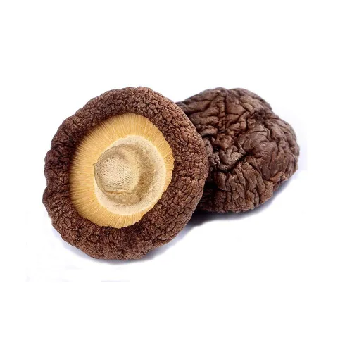 Vista 7 de Setas Shiitake secos.