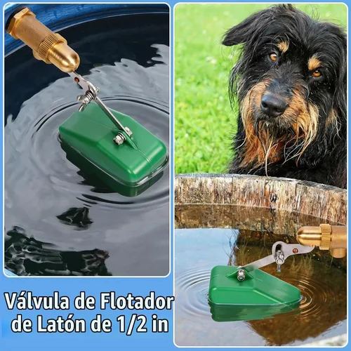 Vista 6 de Válvula de flotador de 1/2 pulgada, válvula de flotador de llenado