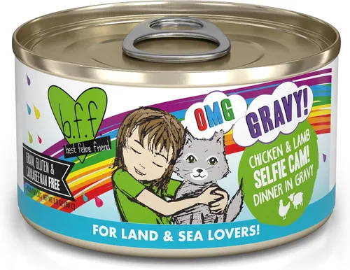 Vista 11 de Weruva B.F.F. OMG – mejor amigo felino Oh My Gravy! Latas de comida húmeda natural sin granos, recetas de tierra y mar en salsa