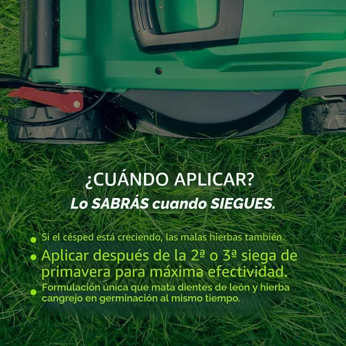 Vista 8 de GreenView Fairway Formula - Fertilizante de primavera para prevenir malezas y piensos y pasto de cangrejo