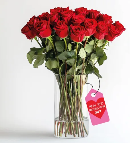 Vista 37 de GlobalRose Ramo de 50 rosas surtidas, rosas de origen responsable, flores frescas, ramo fresco de flores seleccionadas a mano para el día
