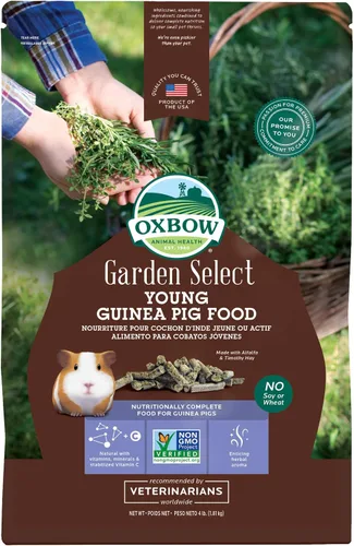 Vista 9 de Oxbow Garden Select - Alimento para conejillo de indias adulto, Heno Timothy, pellets de conejillo de indias, alta fibra para la salud digestiva