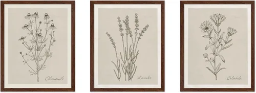 Vista 9 de Poster Master Póster botánico vintage de 3 piezas, estampado floral retro, regalo para artistas, amigos, flores de acuarela, brillante, azul