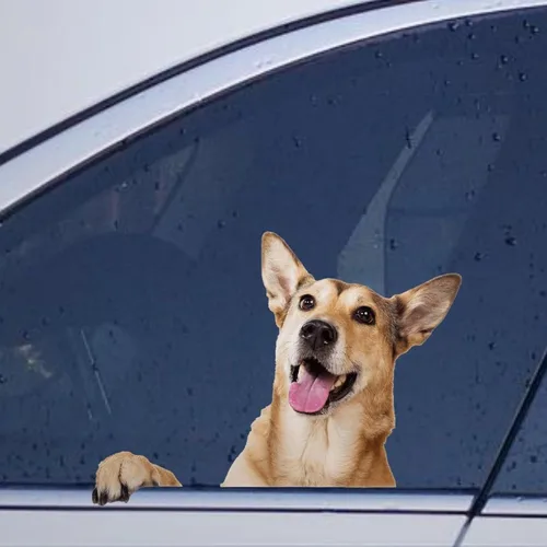 Vista 24 de Calcomanías de perro caniche, divertidas calcomanías de vinilo troqueladas para automóvil, laptop, parachoques Estilo-37
