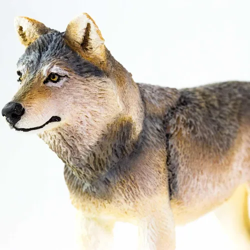 Vista 5 de Safari Ltd. Figura de lobo gris, figura realista de lobo de plástico de 4 pulgadas, juguete educativo para niños, niñas y niños a partir de 3 años