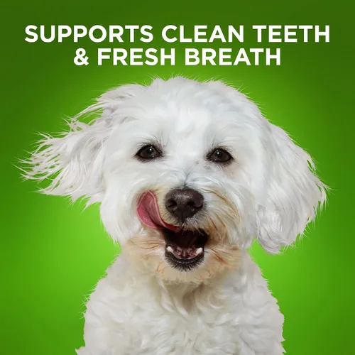 Vista 4 de Fruitables Bioactive Fresh Mouth - Masticables dentales, golosinas para perros pequeños, suministros para mascotas, golosinas de limpieza