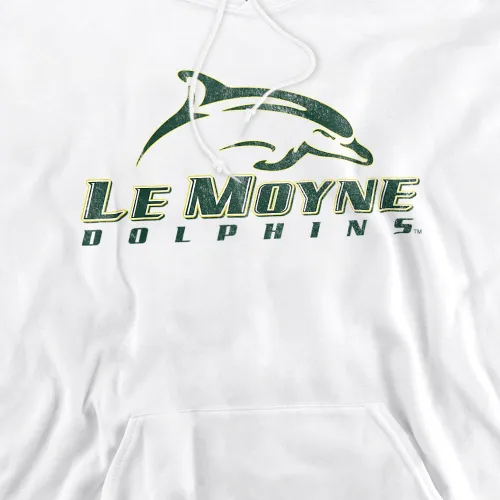 Vista 2 de Le Moyne College Sudadera con capucha unisex para adultos desgastada