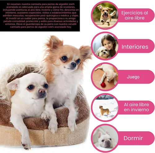Vista 4 de Eleva la Comodidad y la Moda de tu Mascota: Chaleco de Camisa para Perros de Algodón 100% Acanalado Premium para Razas Pequeñas como Chihuahuas