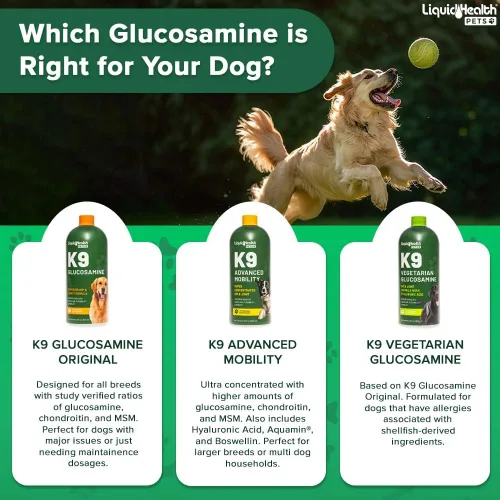 Vista 7 de LIQUIDHEALTH Glucosamina líquida vegetariana K9 de 32 onzas para todos los perros, condroitina, MSM, Omega 3, ácido hialurónico antioxidantes, salud