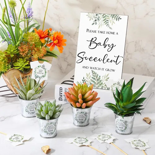 Vista 4 de Fulmoon 151 piezas de regalos de baby shower para invitados incluyen 1 letrero de vegetación, 50 etiquetas de reloj para suculentas, 50 cubos