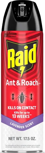 Vista 14 de Raid Ant & Roach Killer - Aerosol para insectos, aroma a limón, 17.5 onzas