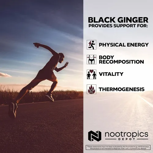 Vista 4 de Nootropics Depot Cápsulas de extracto de jengibre negro 10% 5,7-dimetoxiflavona 60