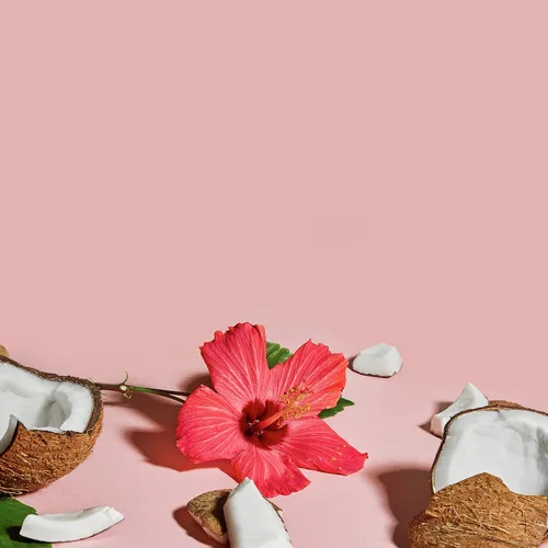Vista 8 de SheaMoisture Hidratar y definir champú, acondicionador y leche de peinado para el cuidado del cabello rizado coco e hibisco con manteca de karité