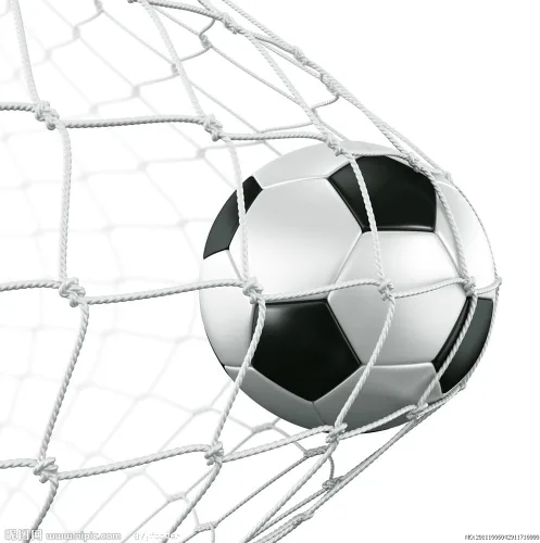Vista 4 de Red de fútbol de 12 x 6 pies, tamaño estándar para lugares de partidos y entrenamiento, fácil instalación y protección completa (solo redes)