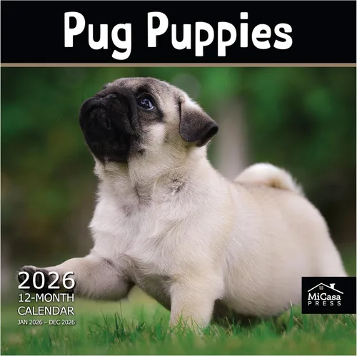 Vista 15 de MICASA PRESS Calendario de pared de Australian Shepherds Aussies 2027 02 - Pastores australianos