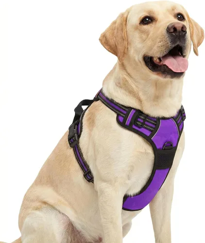 Vista 5 de Funfox Arnés para perro sin tirones, chaleco ajustable para mascotas con asa de control y clip frontal, diseño reflectante para perros pequeños