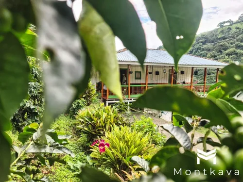 Vista 4 de Montkava Café molido colombiano característico, sabroso, aromático y suave, de origen sostenible y recién tostado, ideal para goteo, prensa francesa