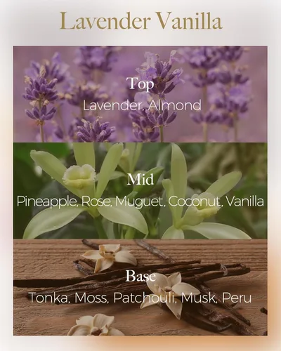 Vista 9 de M&SENSE Velas aromáticas de bayas cítricas, vela grande de lata de soja de 3 mechas, más de 40 horas de tiempo de combustión, cera vegana 100%