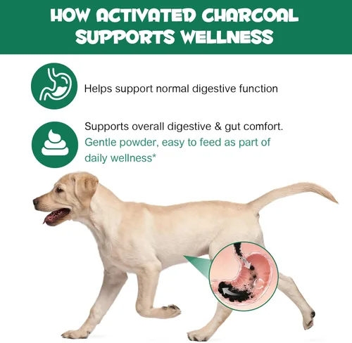 Vista 3 de ALIVO Polvo de carbón activado para perros, gatos, suplemento de salud en polvo de carbón activado, apoya el bienestar digestivo y la frescura oral