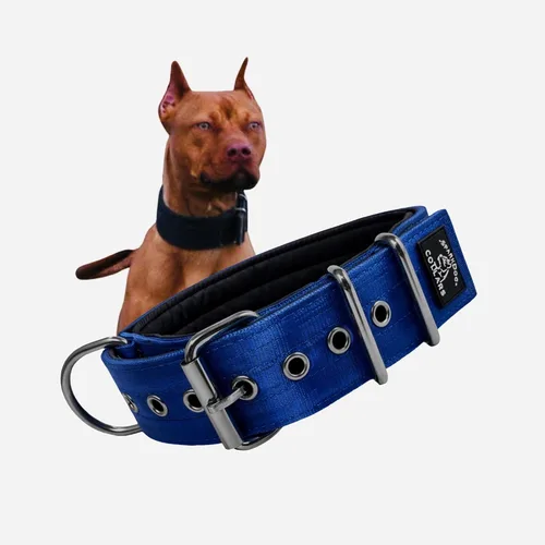Vista 12 de SparkDog - Collar acolchado para perro, 2 pulgadas de ancho, nailon de 4 capas, correas para cinturón de seguridad, accesorios de acero inoxidable