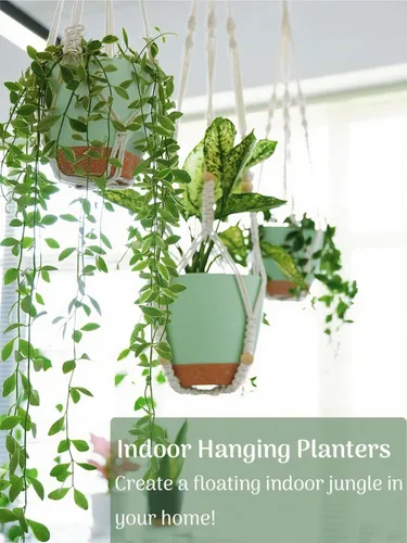 Vista 28 de Paquete de 3 macetas colgantes grandes para plantas de interior con Negro